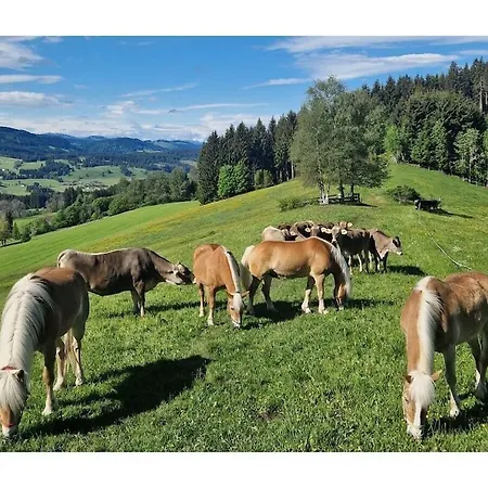 In Weitnau With Swimming Pool Weitnau