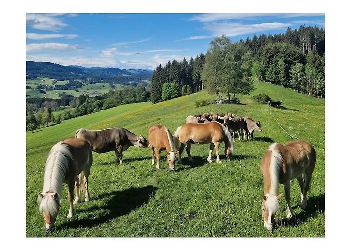 In Weitnau With Swimming Pool Weitnau