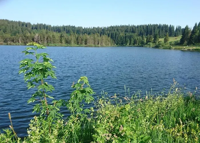 Дом отдыха In Weitnau With Swimming Pool *